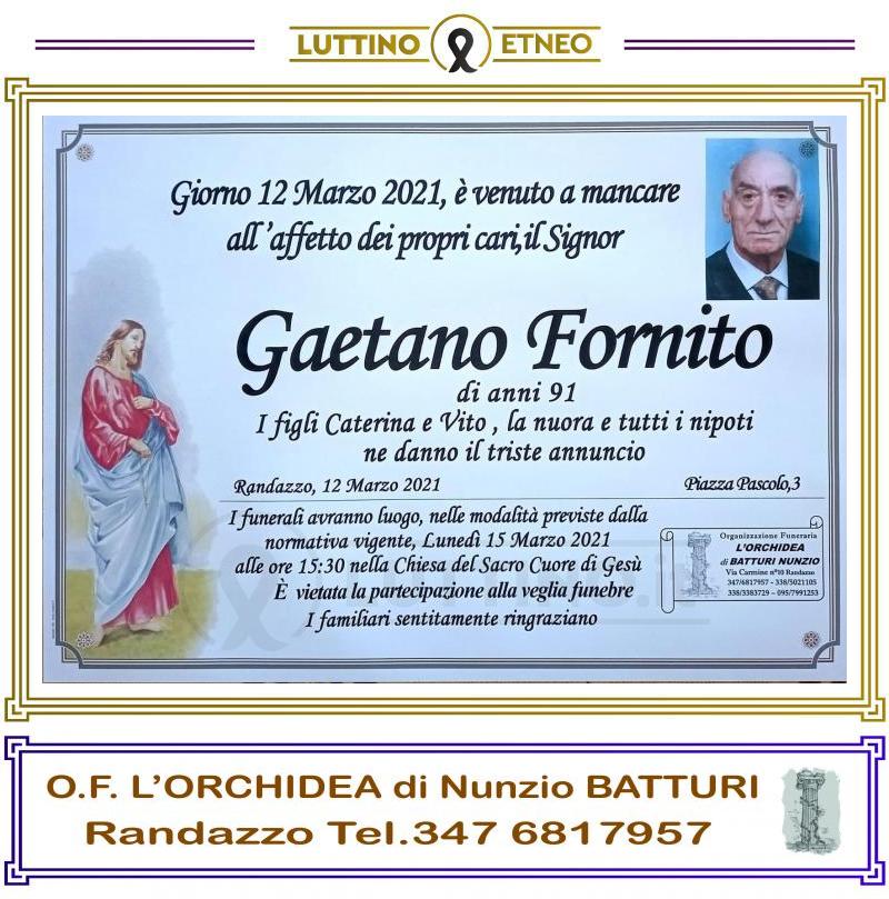 Gaetano  Fornito 